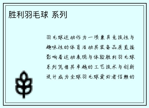 胜利羽毛球 系列