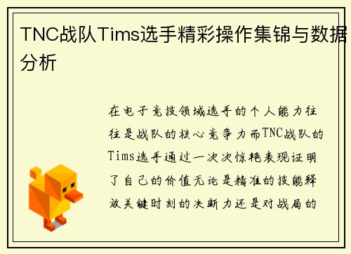 TNC战队Tims选手精彩操作集锦与数据分析